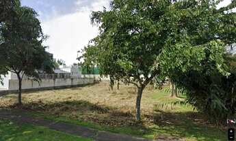 Imagem 2: Terreno para Venda em Florianópolis, Jurerê Internacional
