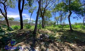 Imagem 5: Terreno para alugar, 5046m² - Recreio Anhanguera