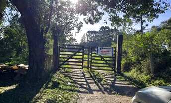 Imagem 4: ÁREA BR 376 SÃO JIOSÉ DOS PINHAIS