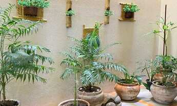 Imagem 2: Apartamento Vila Ipiranga 2 quartos