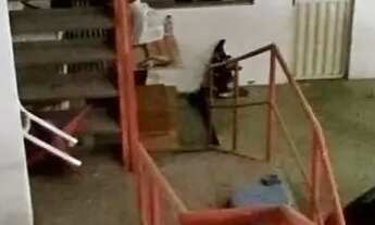 Imagem 6: Js- Galpão 450m2 Rod Augusto Montenegro