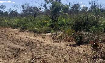 Imagem 6: Fazenda com 1.006 hectares, plana - Próximo a Chapada Gaúcha