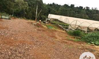 Imagem 4: Terreno à venda, Distrito de São João - Cascavel/Pr