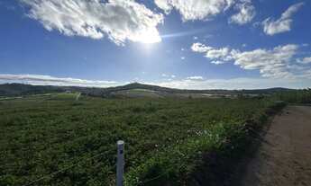 Imagem 3: Terreno de 600m² em bairro residencial R$50.000 à vista, entre em contato