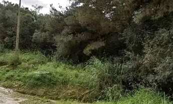 Imagem 2: Terreno com 280.000 m², à venda por R$ 9.100.000 - Centro, Campina Grande do Sul (PR