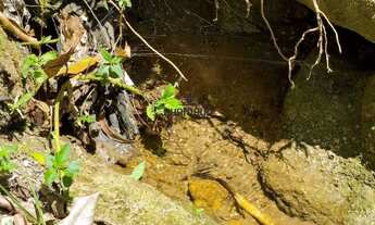 Imagem 7: Terreno em Zona Rural - Buenos Aires, Guarapari, ES