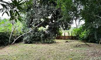 Imagem 5: OTIMO SITIO COM UMA LINDA CASA COM PISCINA