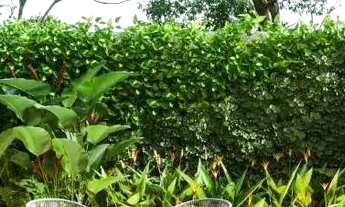 Imagem 6: Apartamento para Venda, Aeroclube, 3 dormitórios, 3 banheiros, 2 vagas