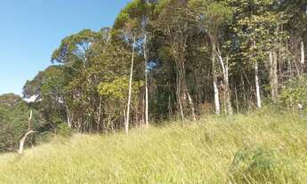 Imagem 3: Super 5 mil mts quadrados na crista da colina plaino
