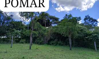 Imagem: Chácara DF Planaltina Pedra Fundamental