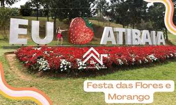 Imagem 5: TERRENO IDEAL PARA CHACARÁ