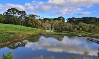 Imagem 2: Vendo chacará com 20.000m² no Bairro Cachoeira em São Jose dos Pinhais, localizada á 8 min