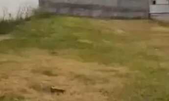 Imagem: Ótimo lote com 490 m2, Condomínio Residencial