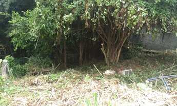 Imagem 6: Terreno em Pendotiba