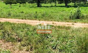 Imagem 4: Fazenda em Baliza-GO. Área Total: 820 Alqueires (3.949 Há)