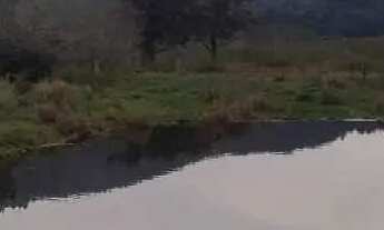 Imagem: Sítio à venda, Itapuã - Viamão/RS