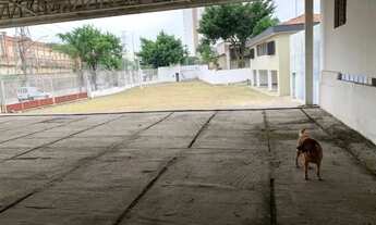 Imagem 5: LOCAÇÃO ÁREA DE 1.760 M² LIMÃO - SÃO PAULO/SP