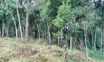 Imagem 7: Terreno com Casa e Nascente Bairro Campestre, Tijucas do Sul 11.000m²