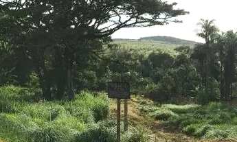 Imagem 2: Chácara | Monte Sinai - Anápolis/GO