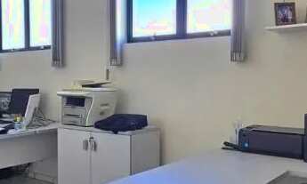 Imagem 5: GALPÃO - MACUCO - SP