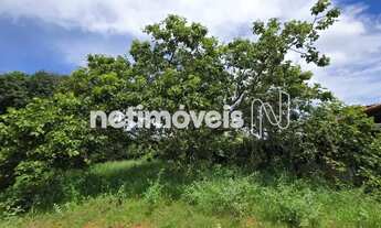 Imagem 6: OPORTUNIDADE ÚNICA NO LAGO NORTE QI 13