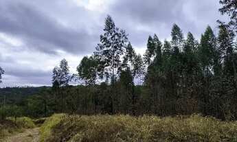 Imagem 3: TERRENOS EM COTIA COM VISTA PRIVILEGIADA!