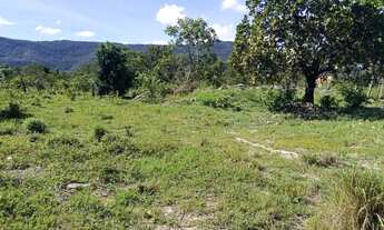Imagem 4: Terreno à venda em Teresina de Goiás - GO Chapada dos Veadeiros ? 450 m²
