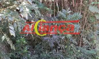 Imagem 4: Ótimo terreno à venda de 3 mil metros no Bairro Terra Preta!