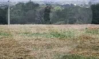 Imagem 7: Terreno comercial à venda no condomínio Bortoleto Comercial, Indaiatuba - SP