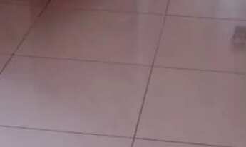 Imagem 2: Casa à venda! Na cidade operária!