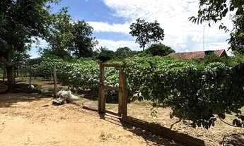 Imagem 6: VENDO!!! uma fazenda com 154 hectares na região do manso distrito de Marzagão de