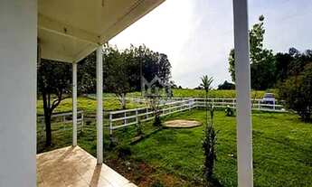 Imagem 5: Sítio de 3 hectare com duas casas.!!!