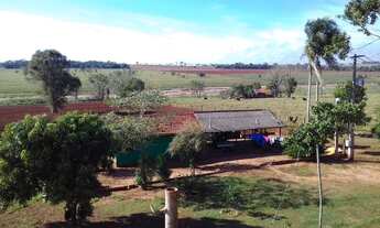 Imagem 3: Chácara 1,5 alqueires, 3 km de Ivinhema