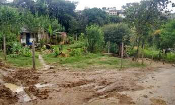 Imagem 3: Venda | Lote/Terreno | Nacional/cidade