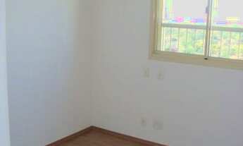 Imagem 7: APARTAMENTO - CAMPO BELO - SP