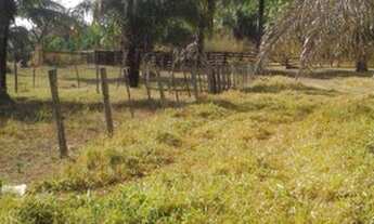 Imagem 4: Fazenda Serra de São vicente - Venda 91 km de Cuiabá
