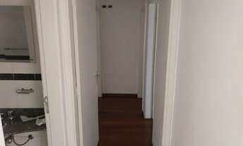 Imagem 4: Perdizes ao lado do Parque