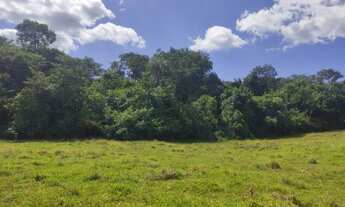 Imagem 4: Sítio em Pirenópolis