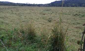 Imagem 4: Jacupiranga - Fazenda - Canha