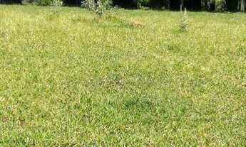 Imagem 4: GRANDE OPORTUNIDADE DE LOTE!!