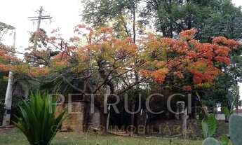 Imagem 5: Chácara - Sousas - Campinas