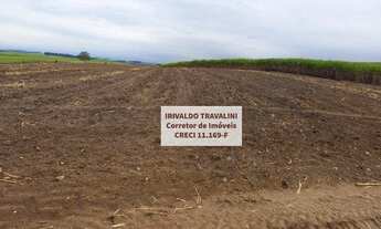 Imagem 6: Sítio à venda, 242000 m² por R$ 1.500.000 - Anhumas - Piracicaba/SP