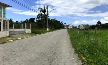 Imagem 4: Terreno - Governador Celso Ramos - Camboa - Armação - Santa Catarina