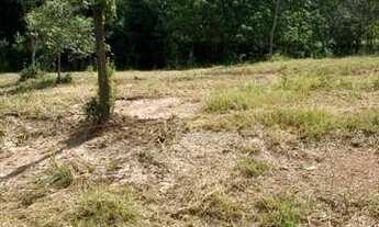 Imagem 5: Terreno para Venda em Cosmópolis, Itapavussu