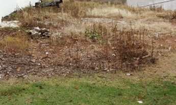 Imagem 2: TERRENO EM CONDOMÍNIO - BOSQUE - SP