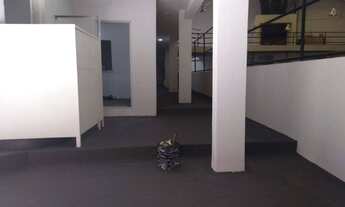 Imagem 5: Galpão à venda, Vila Formosa, São Paulo, SP