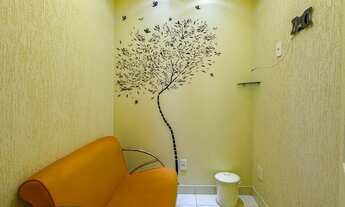 Imagem 6: Consultório mobiliado na Asa Norte