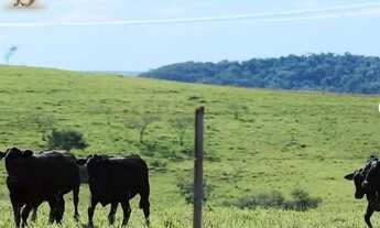 Imagem 7: Fazenda dupla aptidão , Porteira Fechada - Cornélio Procópio - PR