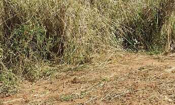 Imagem 3: Chácara 4 mil metros