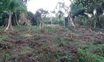 Imagem 4: Excelente terreno no Campeche